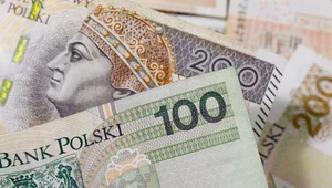 Praca w Niemczech częściowo. 11,5 tys. zł dają bez wykształcenia.