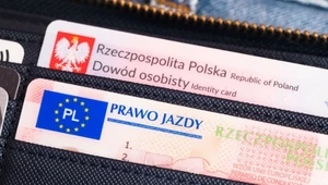 W 2023 roku ma zostać przyjęta tzw. "czwarta rezolucja w sprawie praw jazdy"