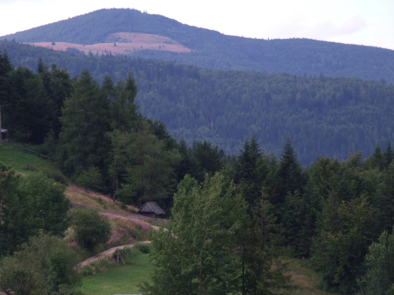 Widok na Mogielicę leżącej nieopodal Jeżowej Wody. Widok na Mogielicę leżącej nieopodal Jeżowej Wody.
