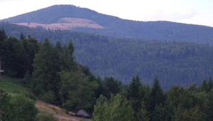 Budowa wielkiego schroniska w Beskidzie Wyspowym. "Cisza i spokój tutaj znikną"