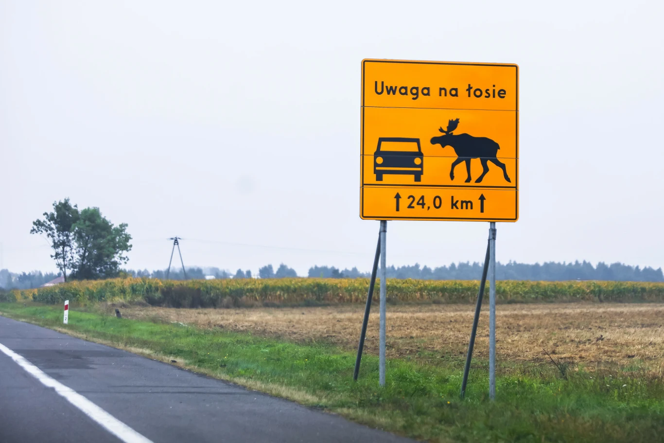 S7 i znak ostrzegawczy przed łosiami