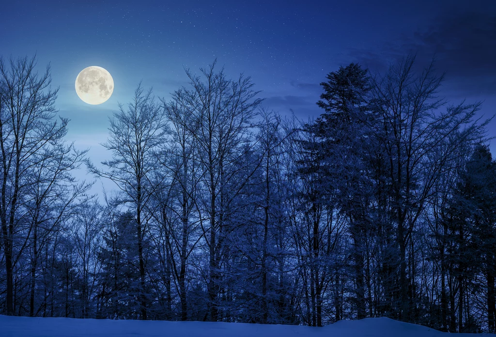 Pełnia Księżyca w styczniu. Kiedy wypada Wilcza Pełnia?