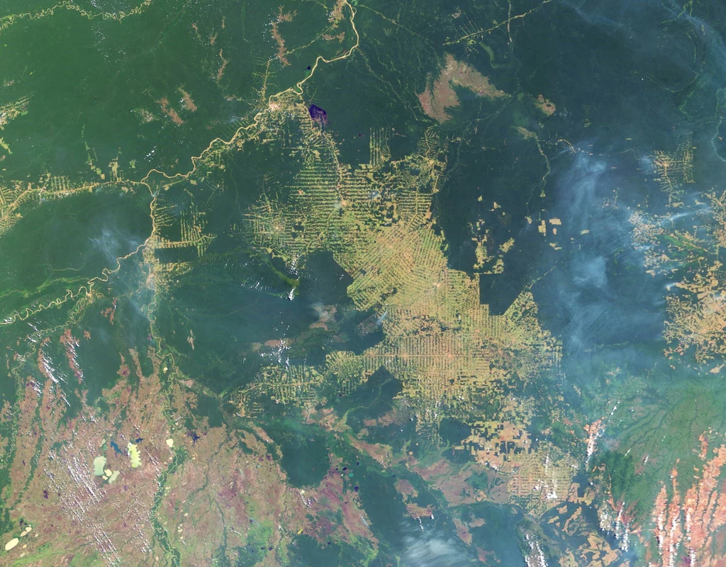 Wylesianie Amazonii na zdjęciu satelitarnym