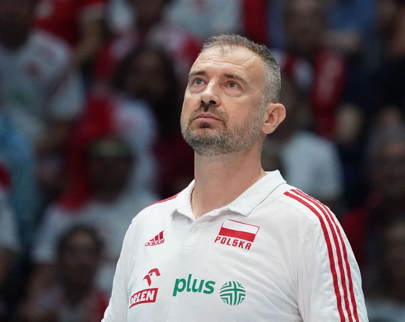 Trener Nikola Grbić Trener Nikola Grbić