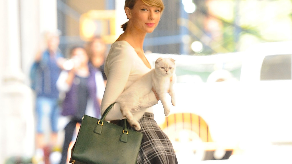 Taylor Swift i jej kotka Olivia Benson