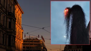 Zdjęcie z Wrocławia robi furorę w sieci 