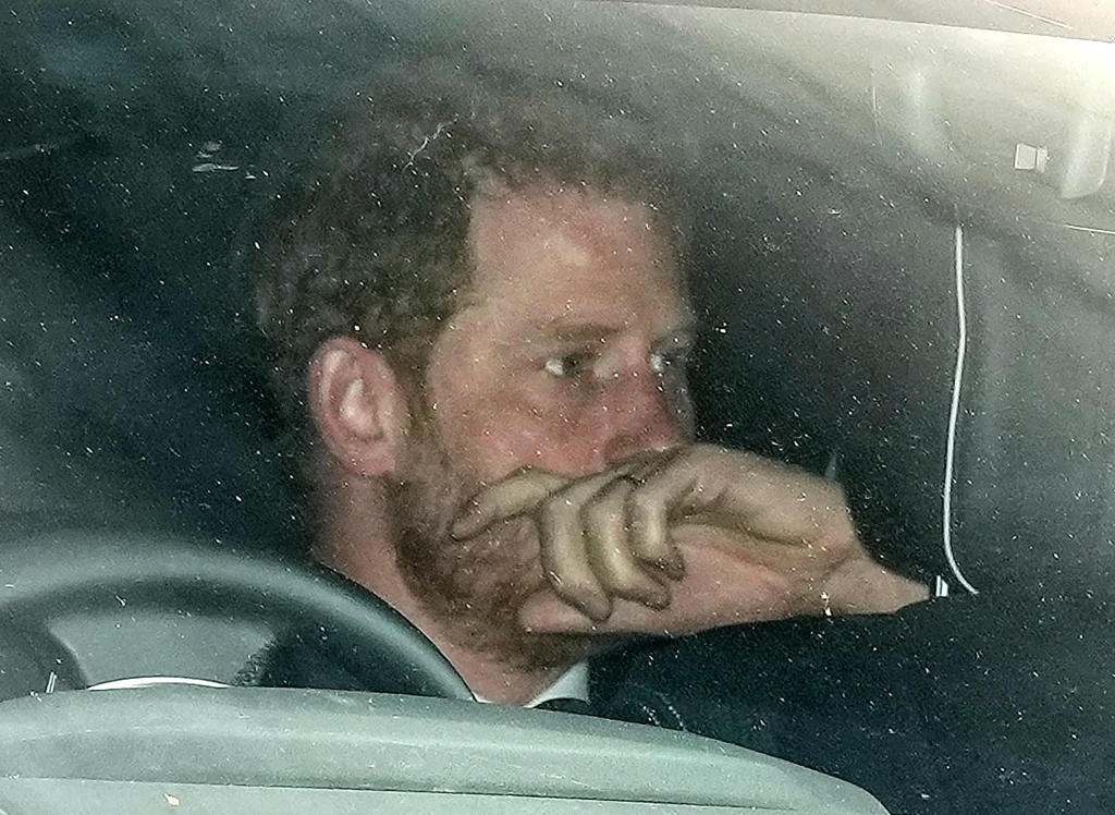 Książę Harrry Książę Harrry