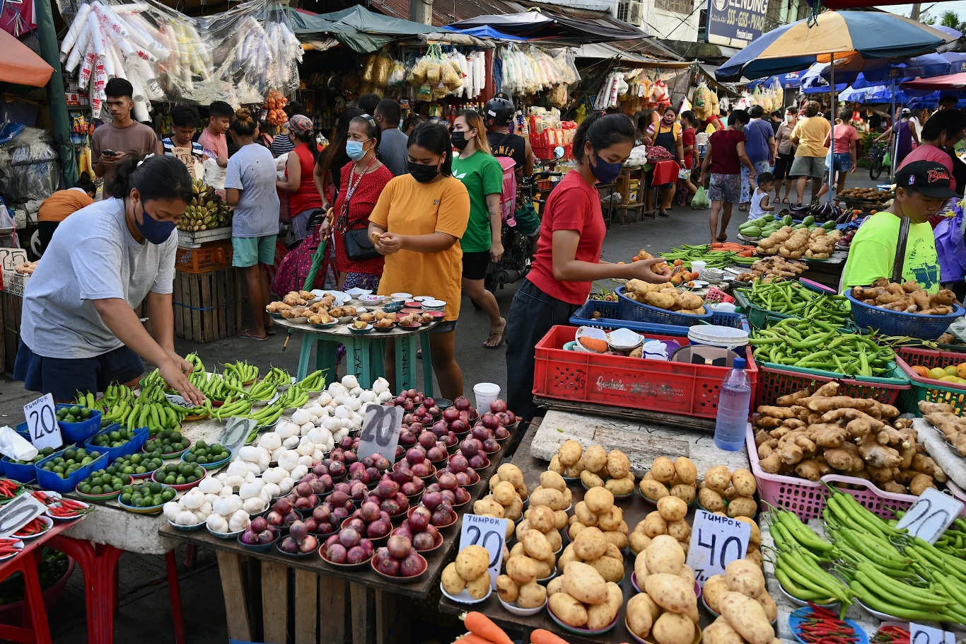 Cena kilograma cebuli na Filipinach przewyższyła minimalne dzienne wynagrodzenie Cena kilograma cebuli na Filipinach przewyższyła minimalne dzienne wynagrodzenie