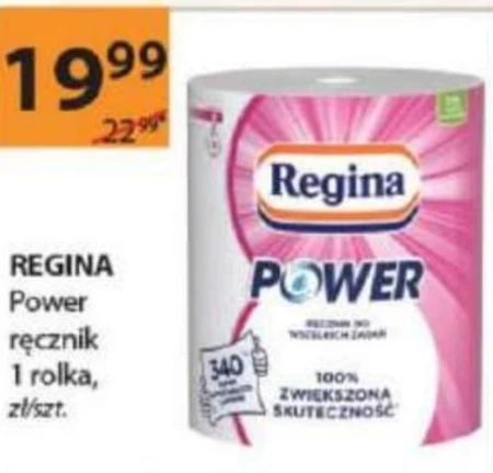 Regina Absorb Ręcznik papierowy uniwersalny