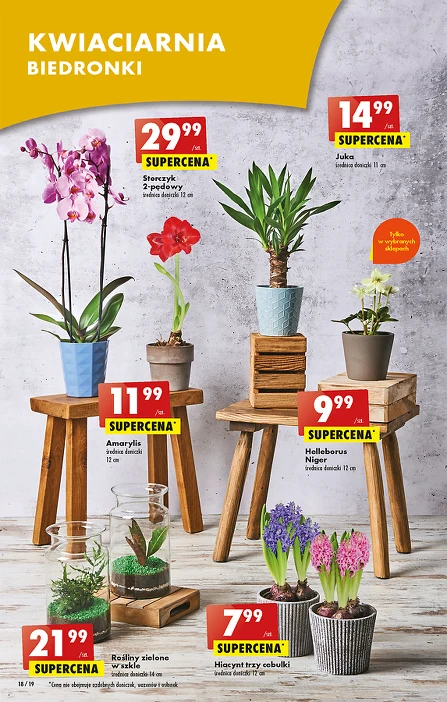 Biedronka Gazetka Promocyjna - oferty, rabaty, kupony [11.01 do  17.01.2023]-Czerwiec str. 18|Ding.pl
