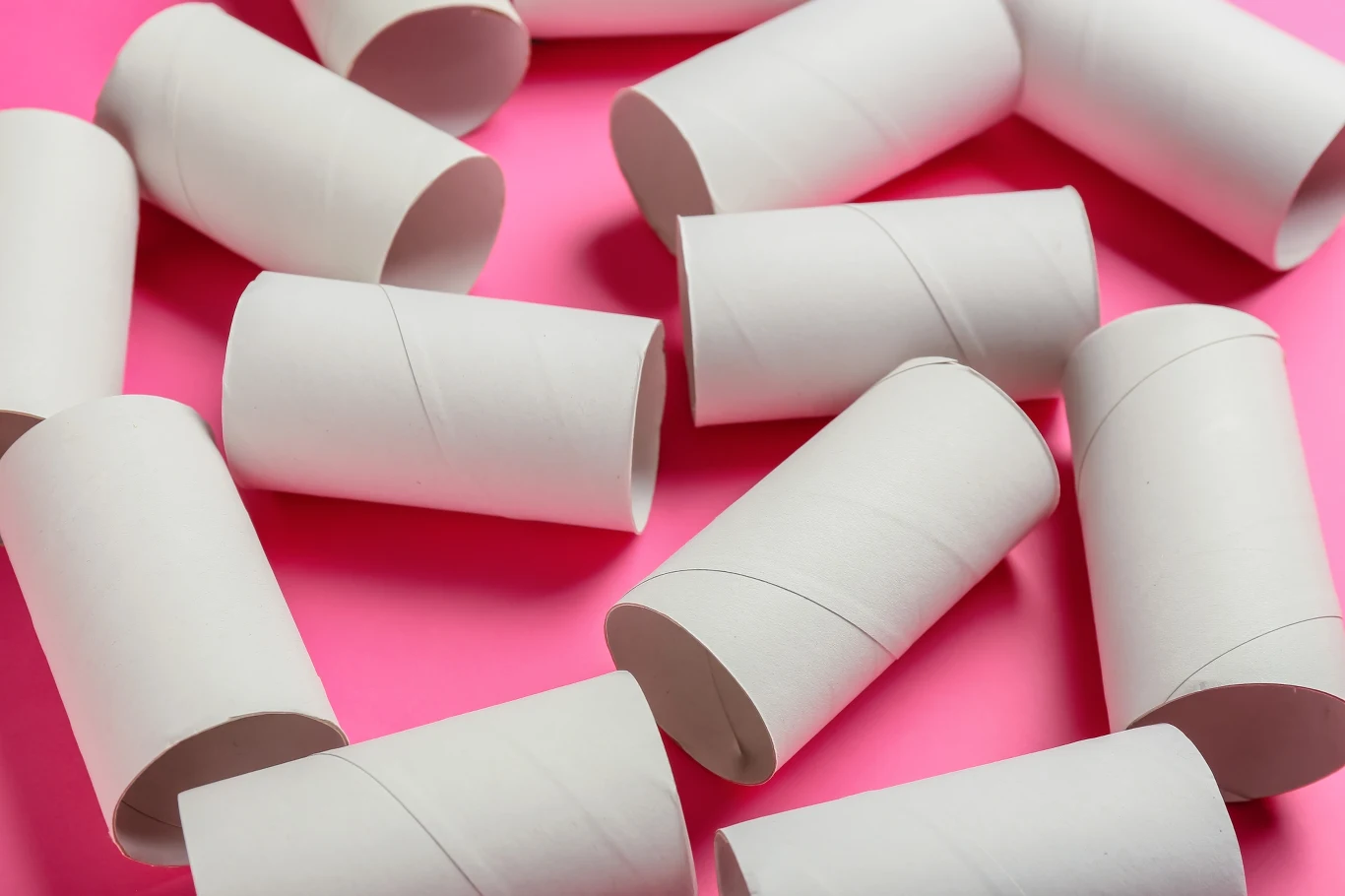 Papierowa rolka może pomóc w naszym ogrodzie Papierowa rolka to świetny gadżet mający wiele zastosowań