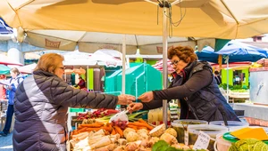 Polacy mają za darmo. Niemcy za to samo płacą 1000 euro.