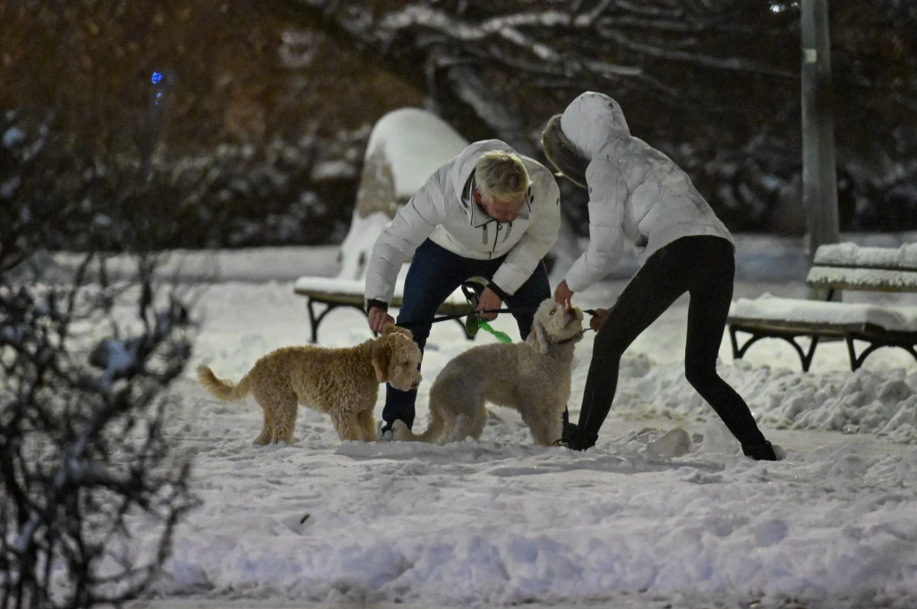 Filip Chajzer z ukochaną na spacerze z psami
