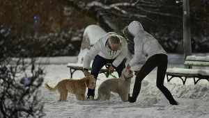 Filip Chajzer z ukochaną na spacerze z psami