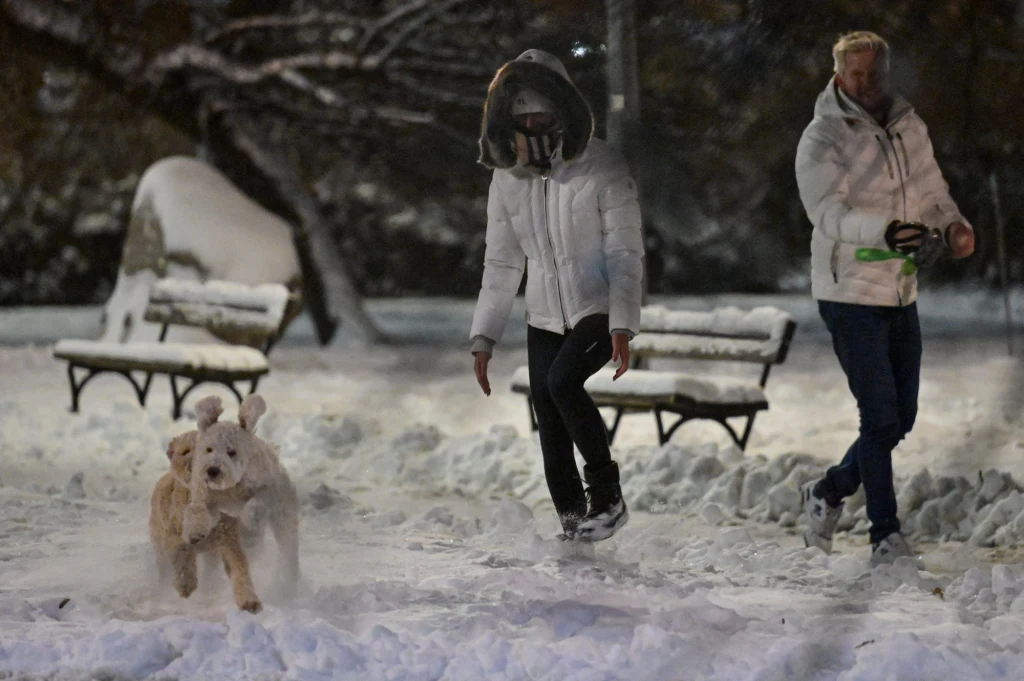 Filip Chajzer z ukochaną na spacerze z psami