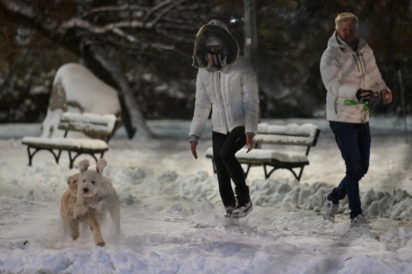 Filip Chajzer z ukochaną na spacerze z psami