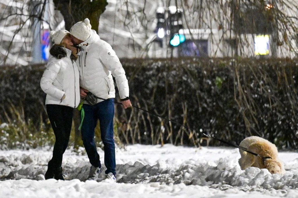 Filip Chajzer z ukochaną na spacerze z psami Filip Chajzer z ukochaną na spacerze z psami