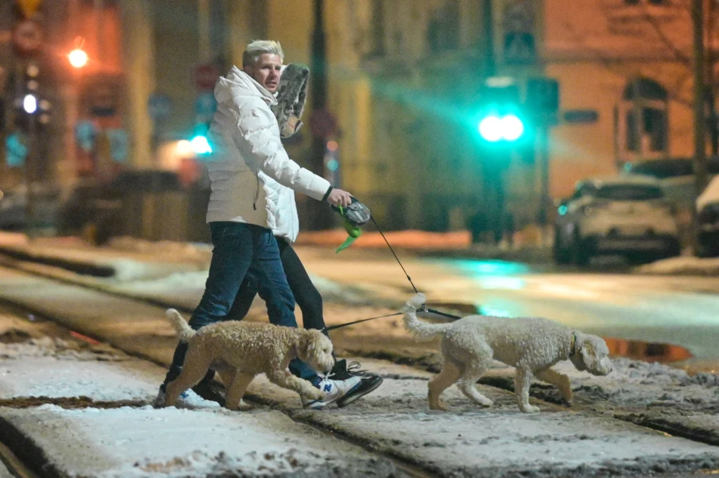 Filip Chajzer z ukochaną na spacerze z psami