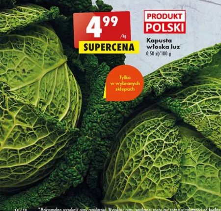 Kapusta