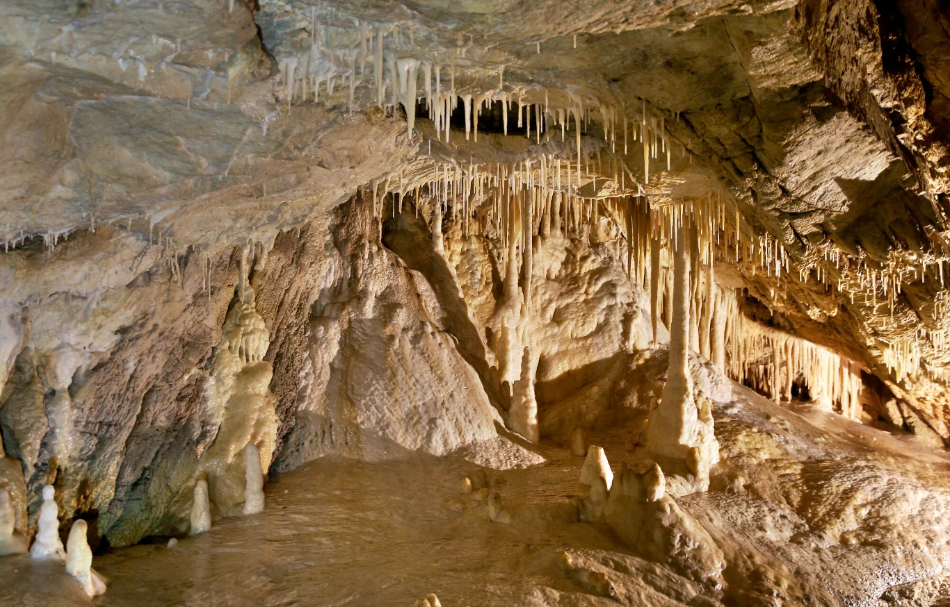 Jaskinia Niedźwiedzia