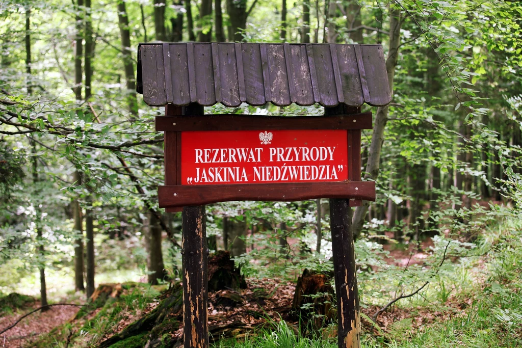 Rezerwat Jaskinia Niedźwiedzia w Sudetach