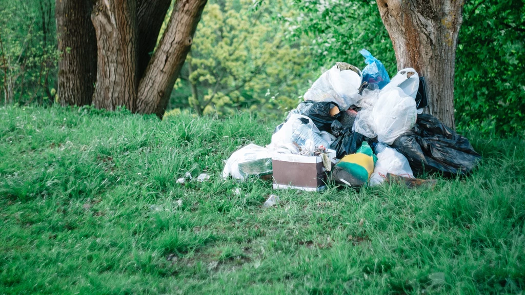 Mimo rosnącej świadomości ekologicznej Polek i Polaków, dzikie wysypiska to od ponad 10 lat cały czas tak samo duży problem. Co roku w Polsce usuwa się 10 tys. dzikich wysypisk. Czy nowe, wyższe kary za zaśmiecanie coś zmienią? 