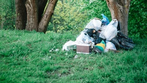 Dzikie wysypiska to wciąż ogromny problem. W Polsce są ich tysiące