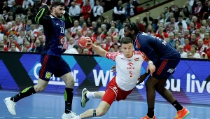 Michał Olejniczak, Ludovic Fabregas, Dika Mem
