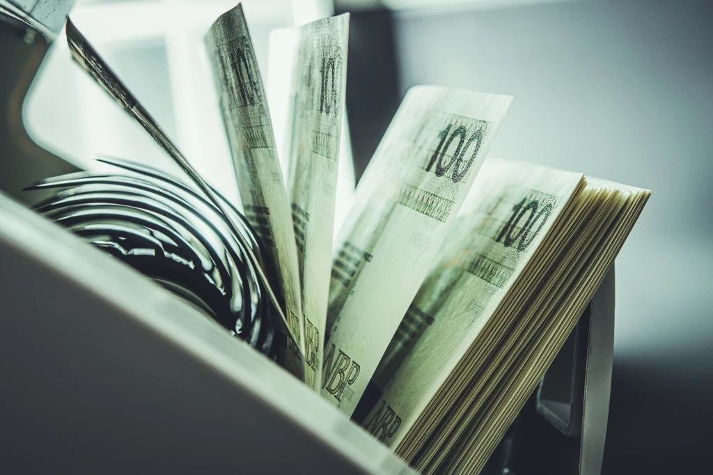 Zysk netto sektora bankowego w okresie styczeń-listopad 2022 r. wyniósł 12,97 mld zł