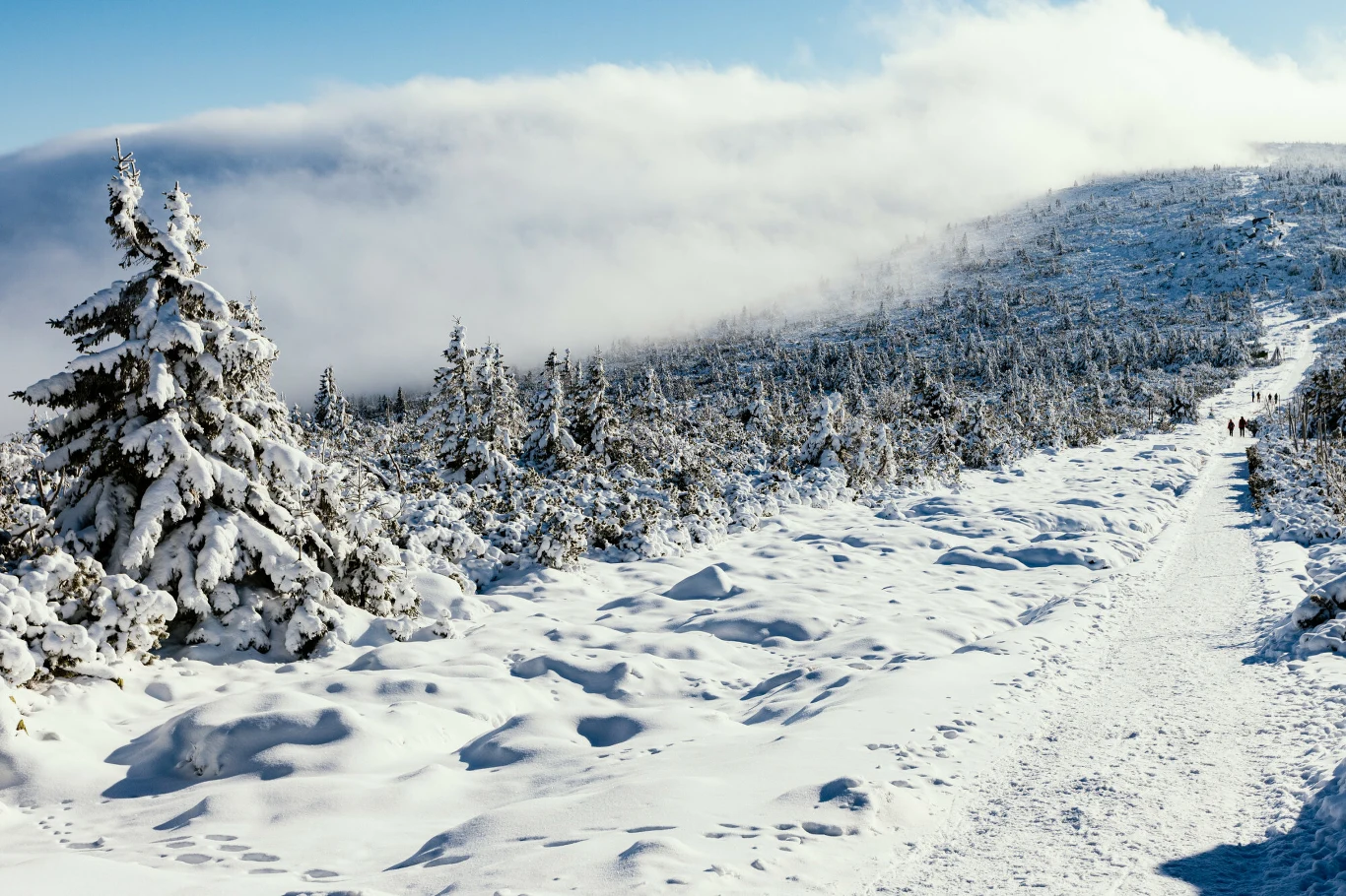 Szklarska Poręba to niewielkie, urokliwe położone w województwie dolnośląskim miasteczko Szklarska Poręba to niewielkie, urokliwe położone w województwie dolnośląskim miasteczko
