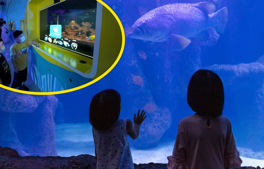 Inteligentne AI Aquarium śledzei wzrok użytkownika i wyświetla informacje o oglądanych gatunkach