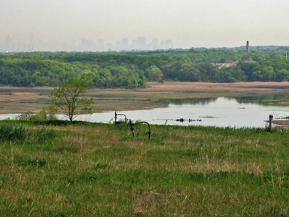 Widok na Freshkills Park w 2010 roku