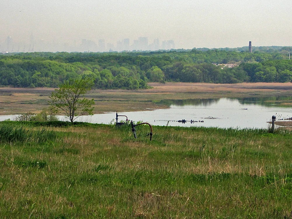 Widok na Freshkills Park w 2010 roku
