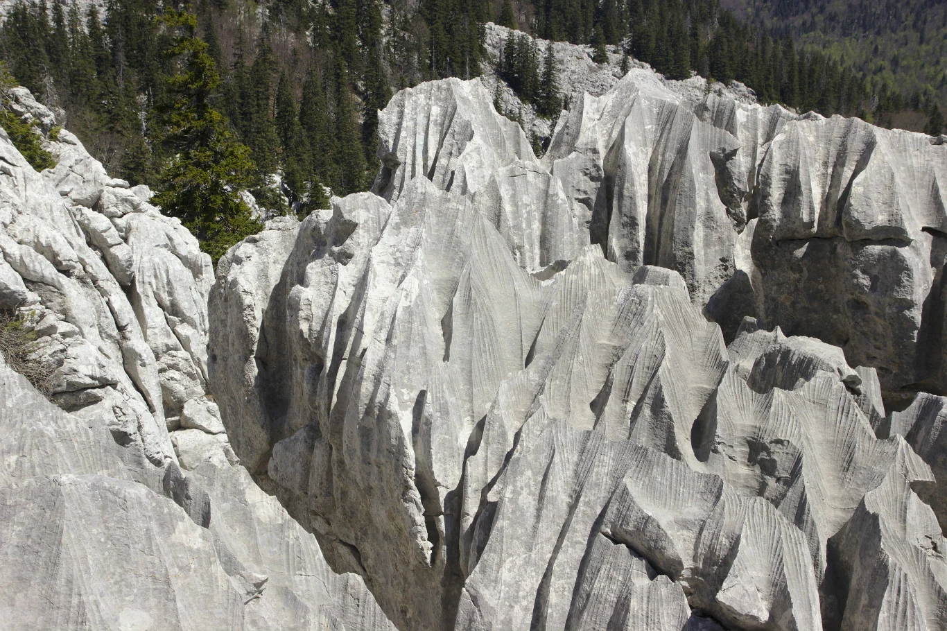 Skały w parku narodowym Velebit Skały w parku narodowym Velebit