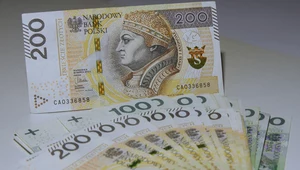 Emerytura z ZUS będzie niska i PPK mają częściowo uzupełnić tę lukę, choć są programem oszczędnościowym, a nie emerytalnym