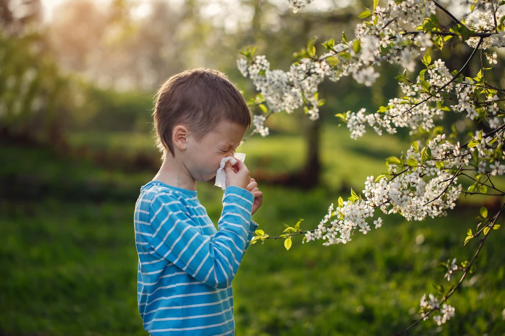 Alergia na pyłki dotyka nie tylko dorosłych, ale i dzieci.