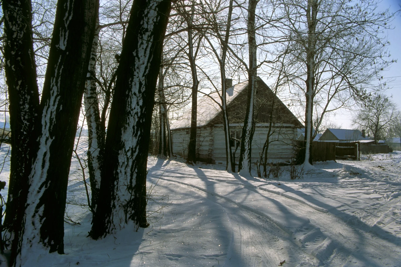 Roztocze zimą to prawdziwa bajka Roztocze zimą to prawdziwa bajka