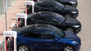 Rośnie popyt na modele Tesli. Musk odpowiada obniżką cen