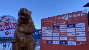 Niedźwiadek Wojtek na Wielkiej Krokwi