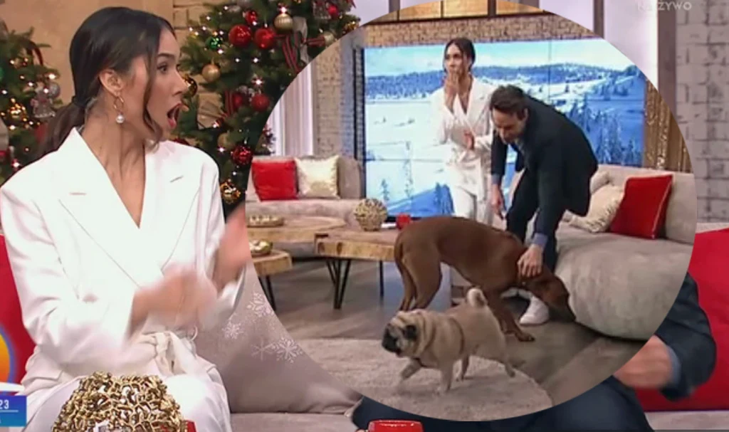 Ida Nowakowska nie dowierzała w to, co widzi (Źródło:https://pytanienasniadanie.tvp.pl/ screen:Plejada)