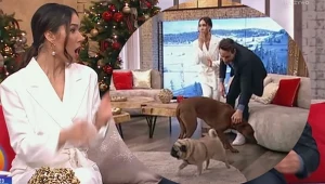 Ida Nowakowska nie dowierzała w to, co widzi (Źródło:https://pytanienasniadanie.tvp.pl/ screen:Plejada)