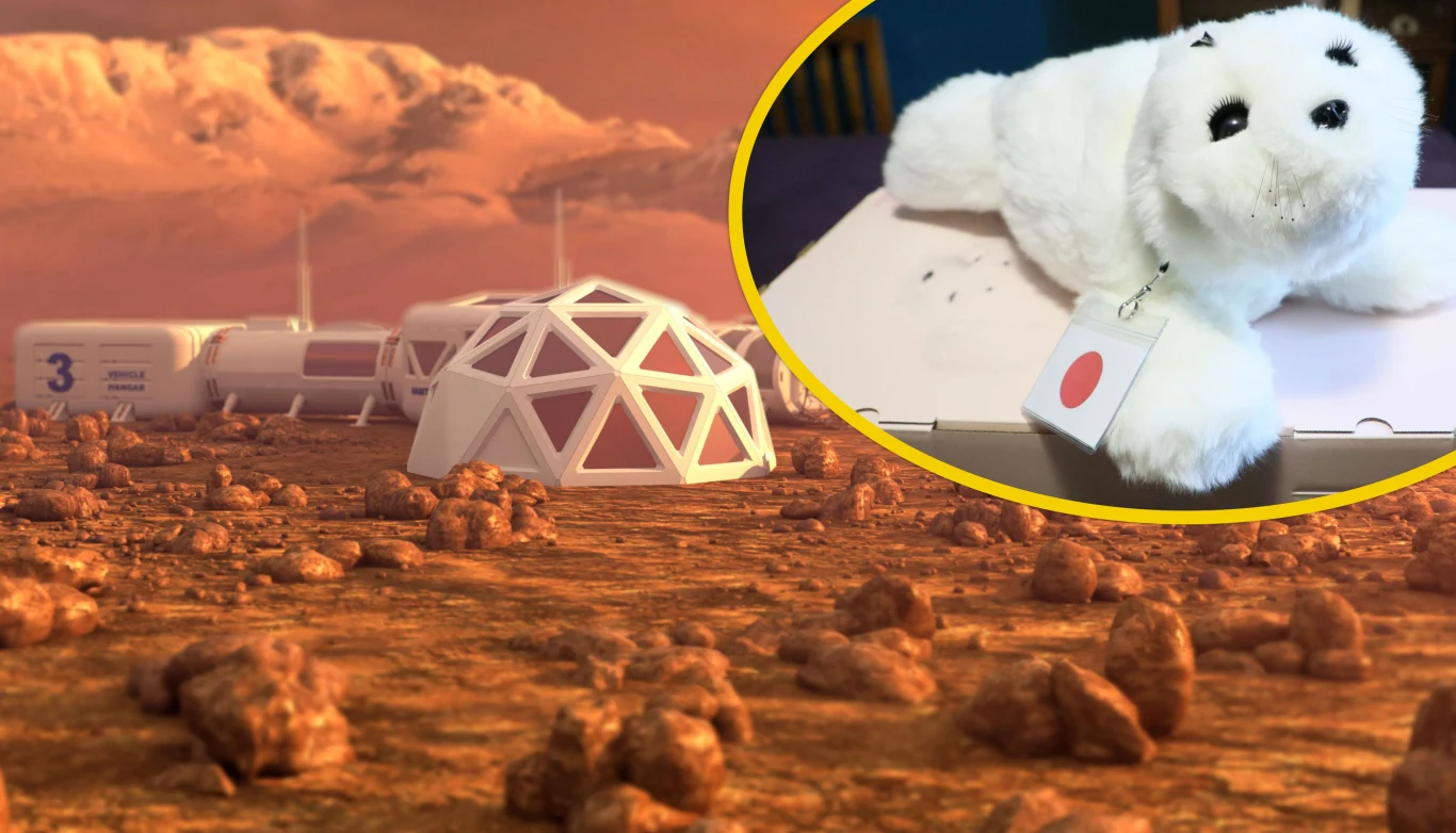 Robotyczne foki Paro to sprawdzone narzędzie terapeutyczne Robotyczne foki Paro to sprawdzone narzędzie terapeutyczne