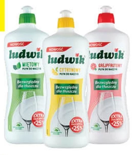 Ludwik Płyn do naczyń miętowy 900 g