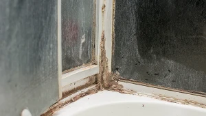 Po obiedzie wykorzystaj do czyszczenia kabiny. Prysznic będzie jak nowy