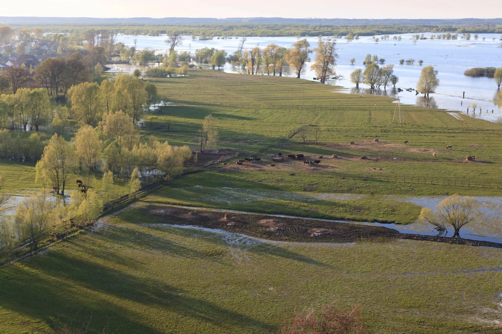 Park narodowy "Ujście Warty" to jeden z Nowych Cudów Polski