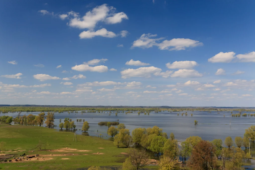 Park stoi otworem przez cały rok, od świtu do zmierzchu, a wejście na ścieżki jest bezpłatne