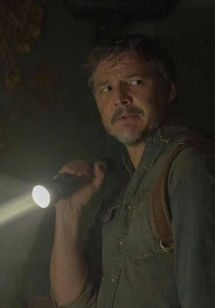 The Last of Us (serial) The Last of Us (serial)