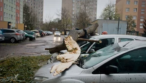 W wyniku burzy życie straciły cztery osoby.