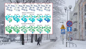 Śnieg, mróz i silny wiatr, który będzie tworzył zamiecie - zima wraca do Polski z dużą siłą. Gdzie spadnie najwięcej białego puchu i gdzie będzie najzimniej?