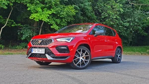 Cupra Ateca. Dla ojca rodziny, w którego żyłach wciąż płynie gorąca krew